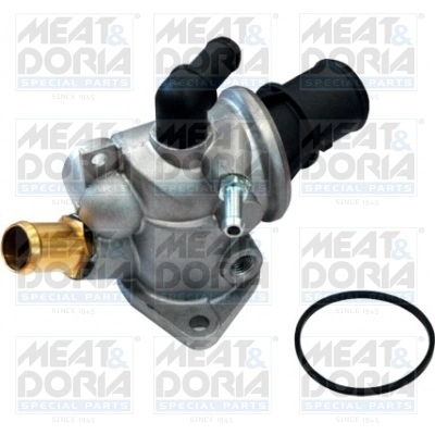 Thermostat, coolant